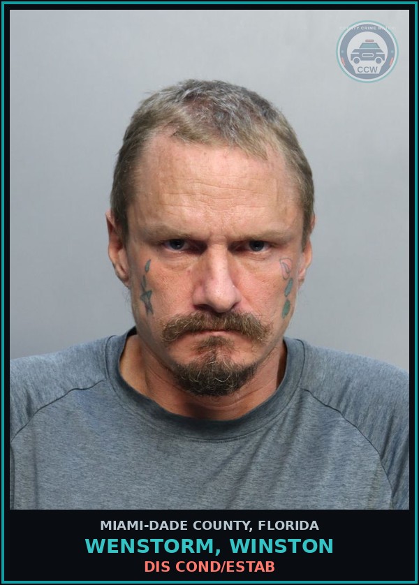 Booking mugshot of WENSTORM, WINSTON in Miami-Dade County
