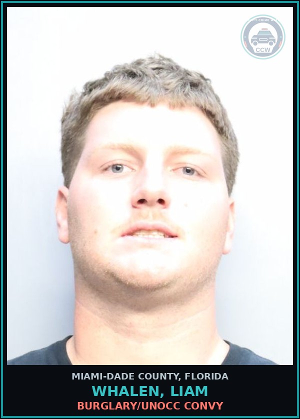 Booking mugshot of WHALEN, LIAM in Miami-Dade County