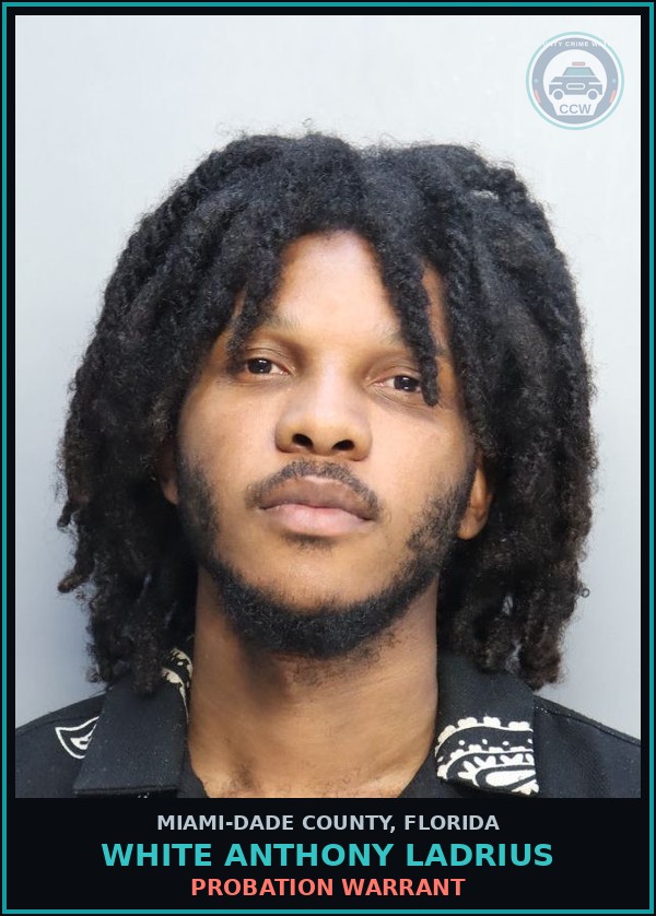Booking mugshot of WHITE ANTHONY  LADRIUS in Miami-Dade County