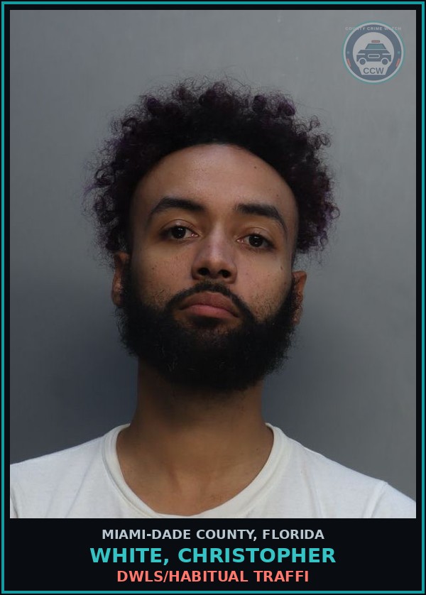 Booking mugshot of WHITE, CHRISTOPHER in Miami-Dade County