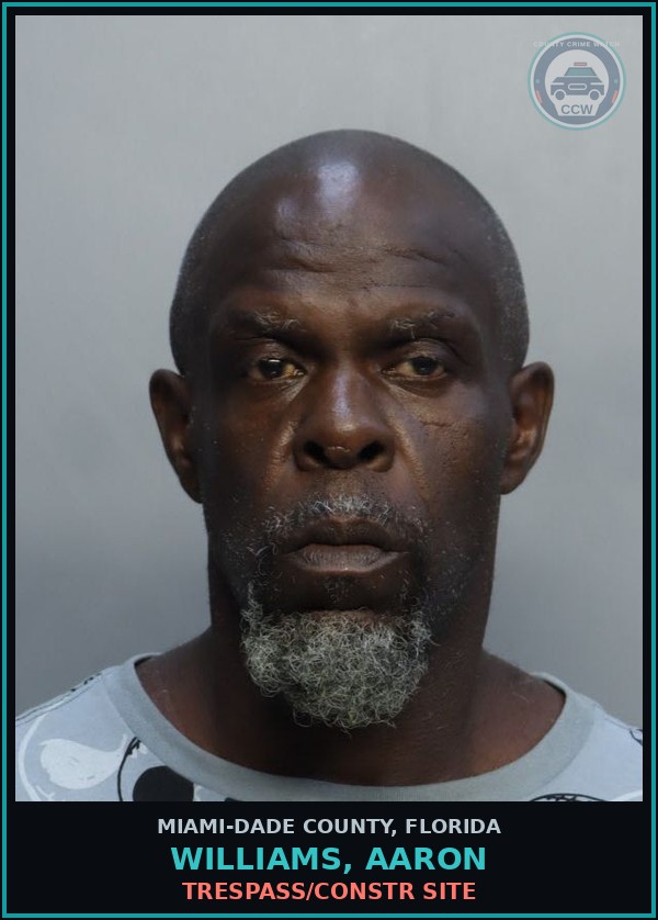 Booking mugshot of WILLIAMS, AARON in Miami-Dade County