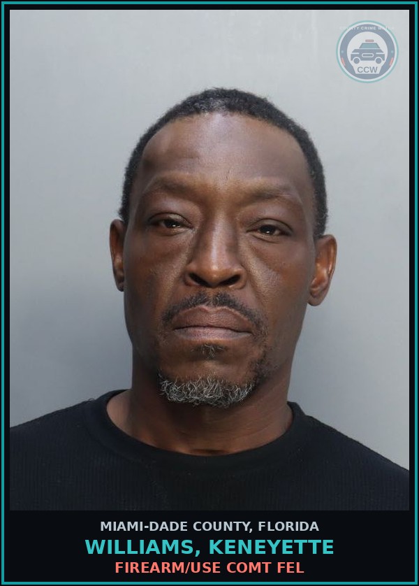 Booking mugshot of WILLIAMS, KENEYETTE in Miami-Dade County