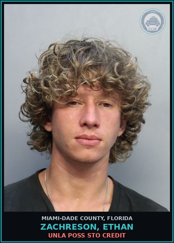 Booking mugshot of ZACHRESON, ETHAN in Miami-Dade County