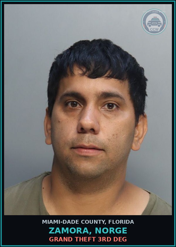Booking mugshot of ZAMORA, NORGE in Miami-Dade County