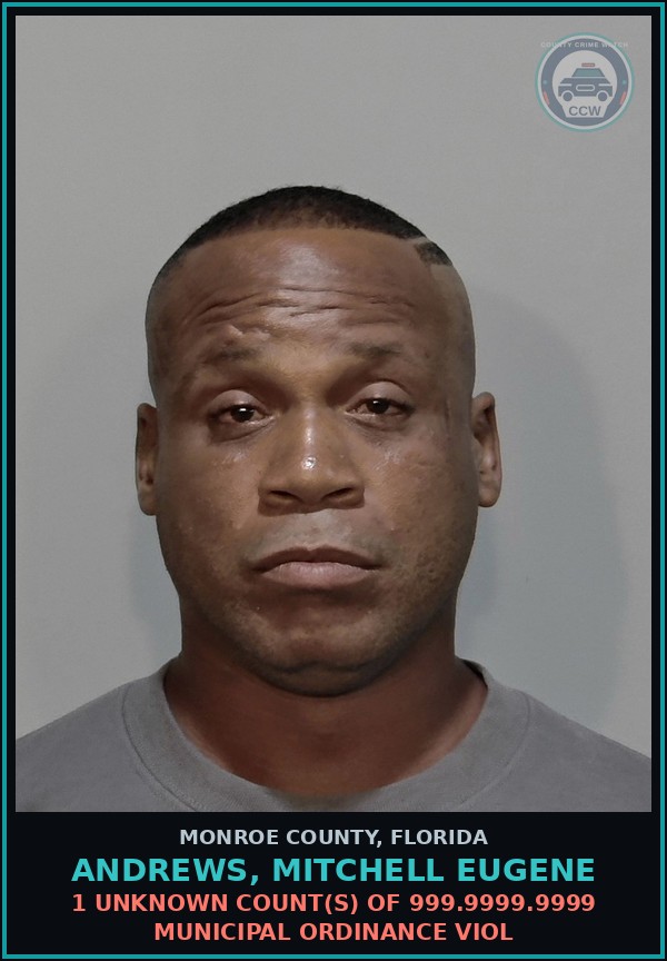 Booking mugshot of ANDREWS, MITCHELL EUGENE in Monroe County
