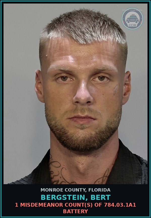 Booking mugshot of BERGSTEIN, BERT in Monroe County