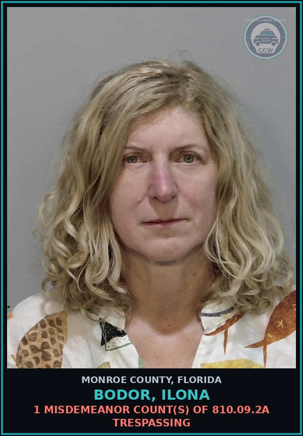 Booking mugshot of BODOR, ILONA in Monroe County