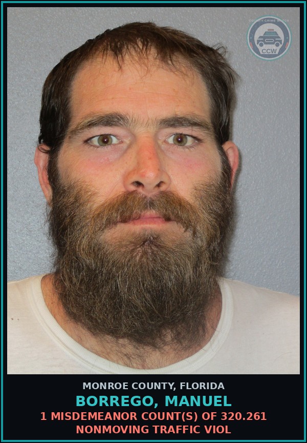 Booking mugshot of BORREGO, MANUEL in Monroe County