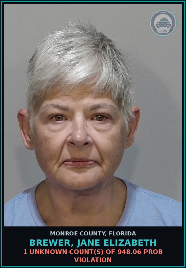 Booking mugshot of BREWER, JANE ELIZABETH in Monroe County