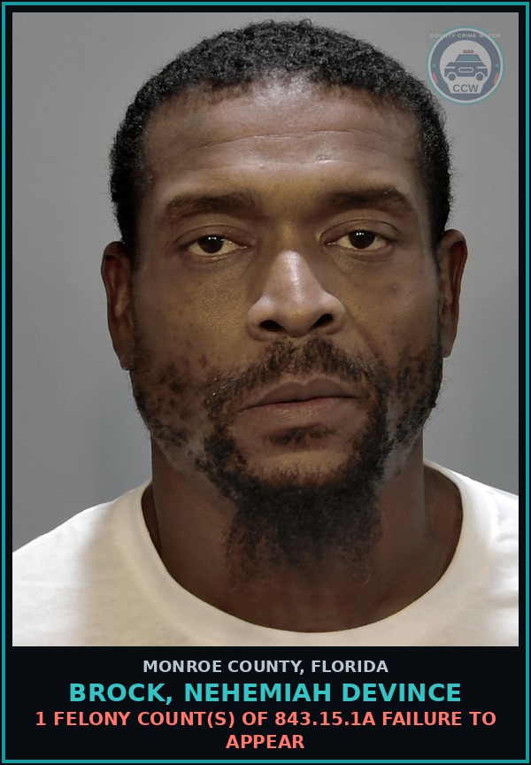 Booking mugshot of BROCK, NEHEMIAH DEVINCE in Monroe County