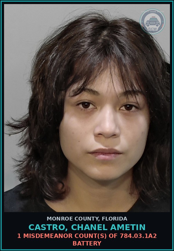 Booking mugshot of CASTRO, CHANEL AMETIN in Monroe County