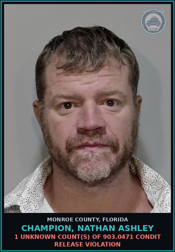 Booking mugshot of CHAMPION, NATHAN ASHLEY in Monroe County