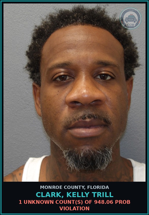 Booking mugshot of CLARK, KELLY TRILL in Monroe County