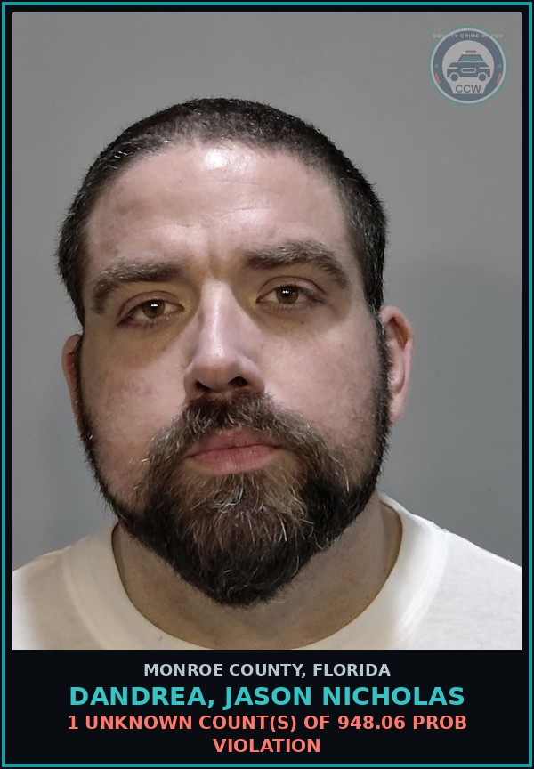 Booking mugshot of DANDREA, JASON NICHOLAS in Monroe County