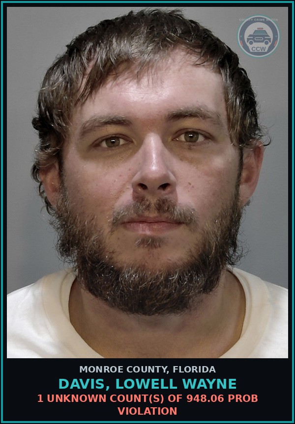 Booking mugshot of DAVIS, LOWELL WAYNE in Monroe County