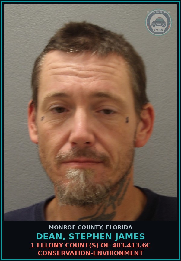 Booking mugshot of DEAN, STEPHEN JAMES in Monroe County