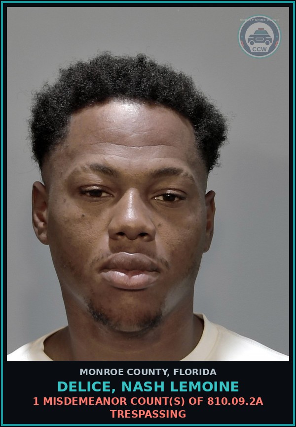 Booking mugshot of DELICE, NASH LEMOINE in Monroe County