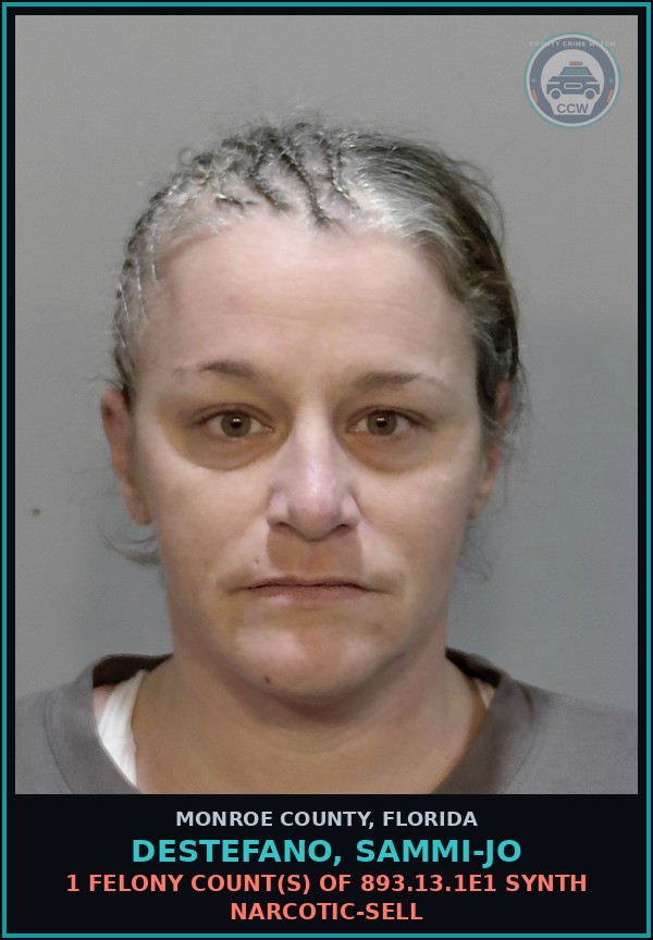 Booking mugshot of DESTEFANO, SAMMI-JO in Monroe County