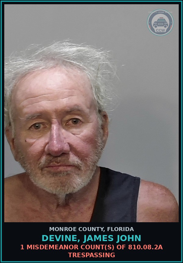 Booking mugshot of DEVINE, JAMES JOHN in Monroe County