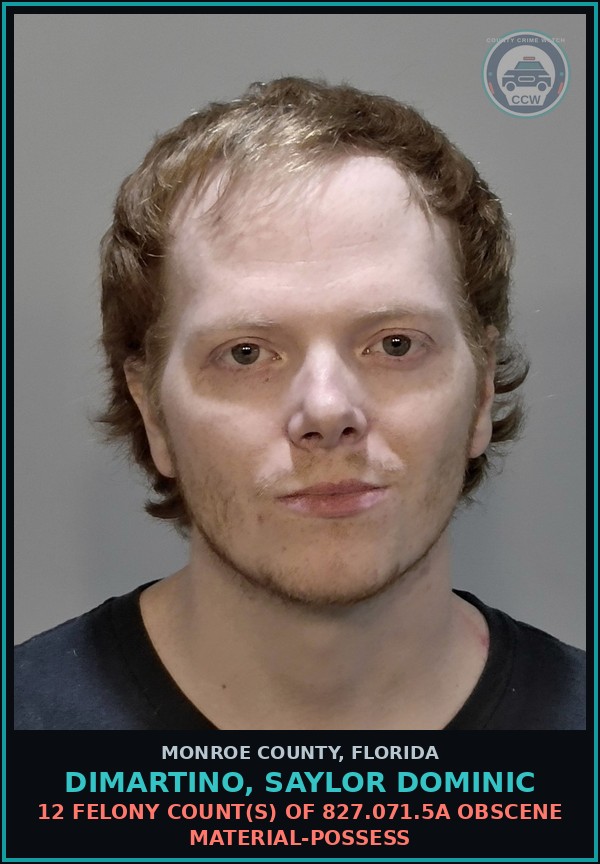 Booking mugshot of DIMARTINO, SAYLOR DOMINIC in Monroe County