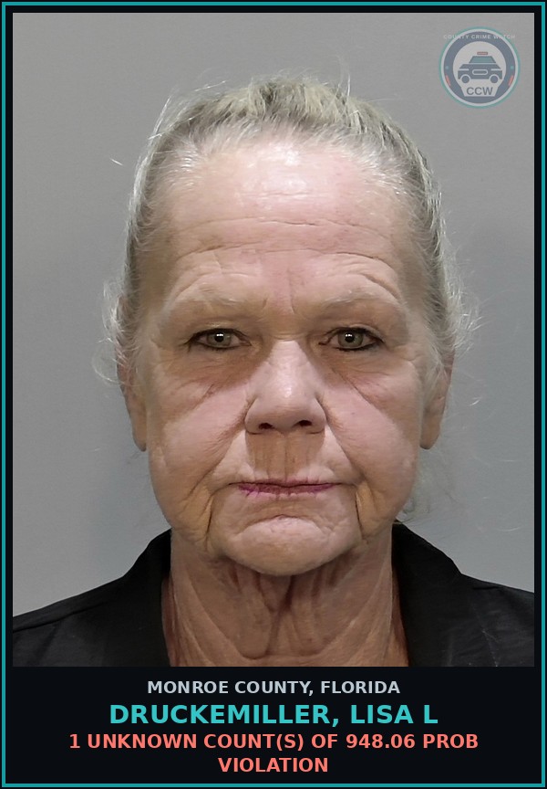 Booking mugshot of DRUCKEMILLER, LISA L in Monroe County