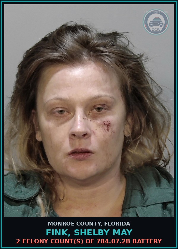 Booking mugshot of FINK, SHELBY MAY in Monroe County