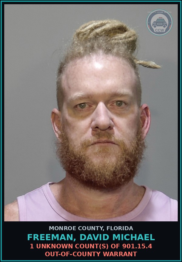 Booking mugshot of FREEMAN, DAVID MICHAEL in Monroe County