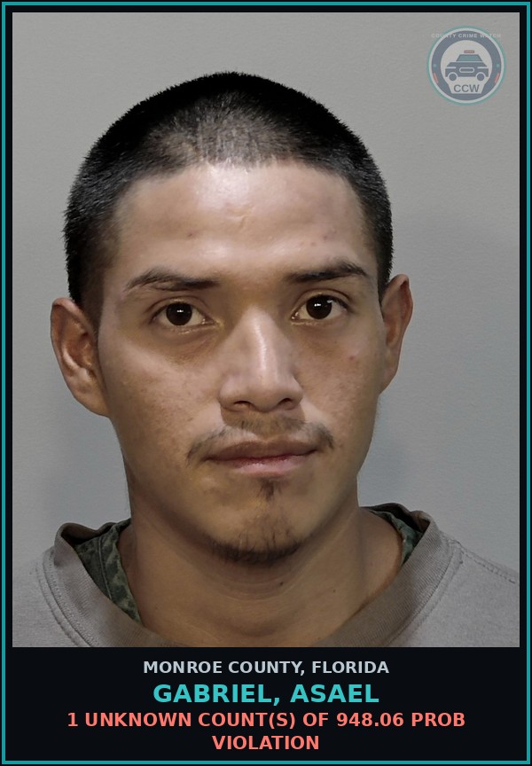 Booking mugshot of GABRIEL, ASAEL in Monroe County