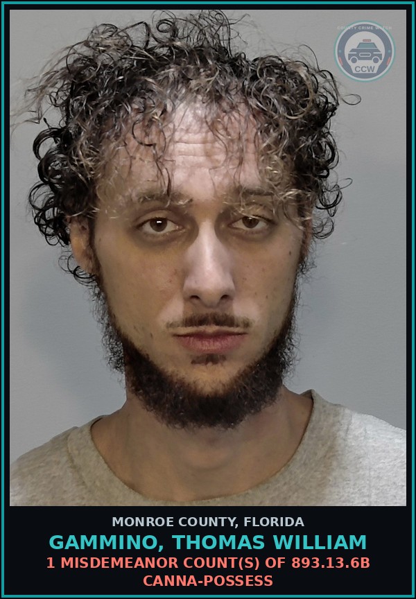 Booking mugshot of GAMMINO, THOMAS WILLIAM in Monroe County