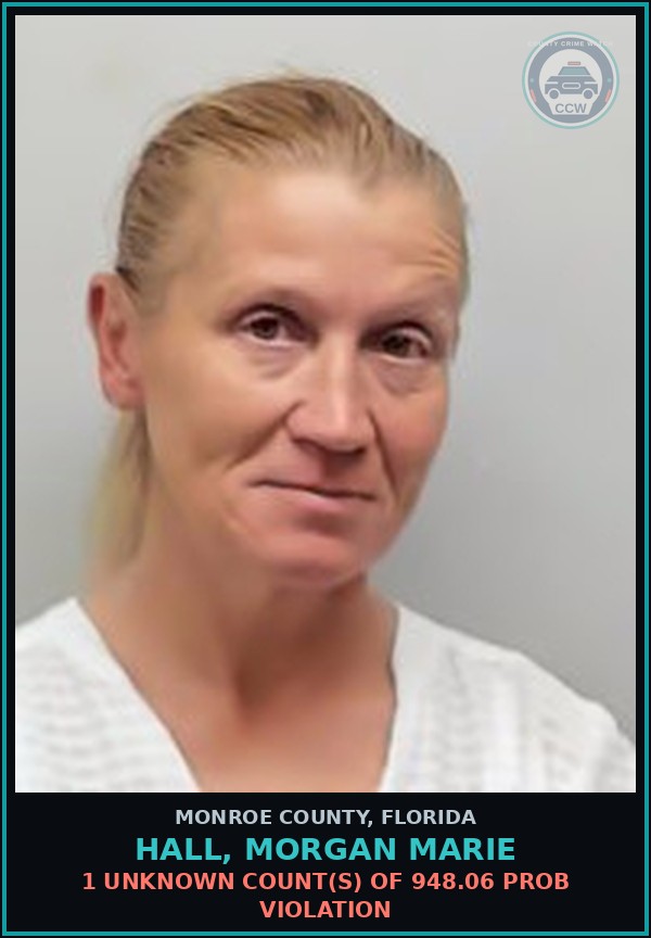 Booking mugshot of HALL, MORGAN MARIE in Monroe County