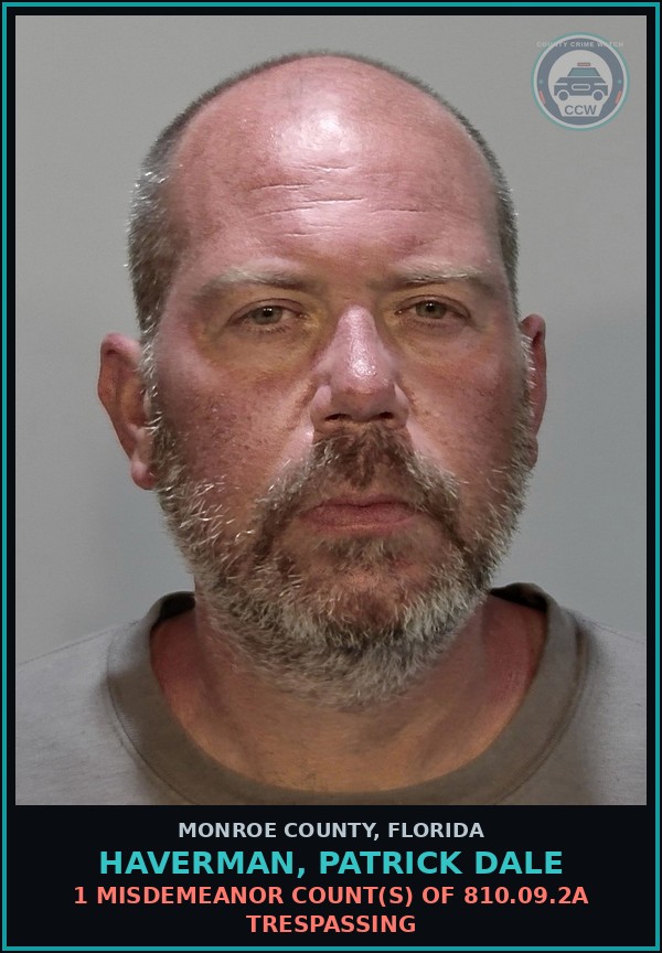 Booking mugshot of HAVERMAN, PATRICK DALE in Monroe County