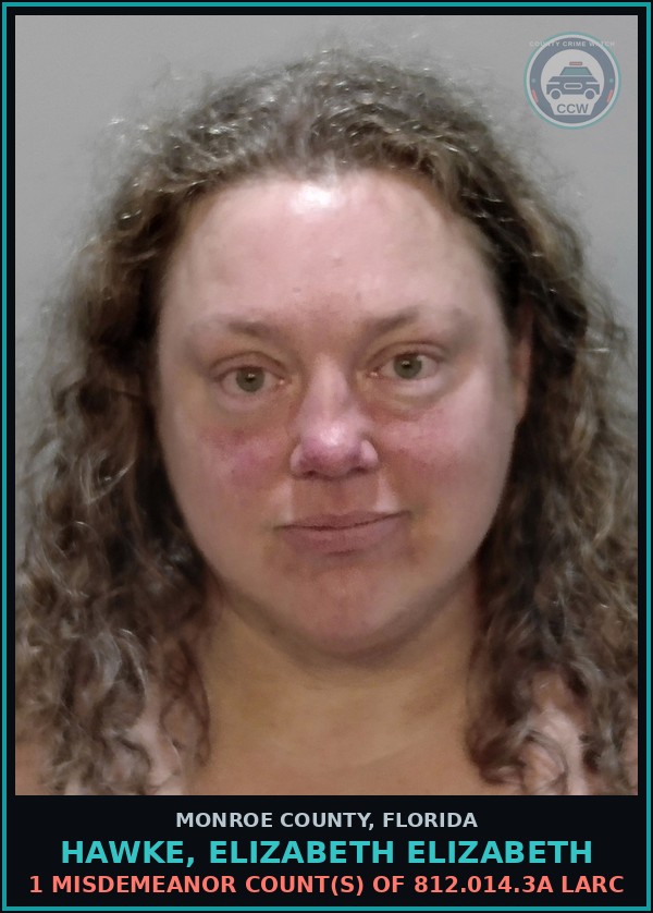 Booking mugshot of HAWKE, ELIZABETH ELIZABETH in Monroe County