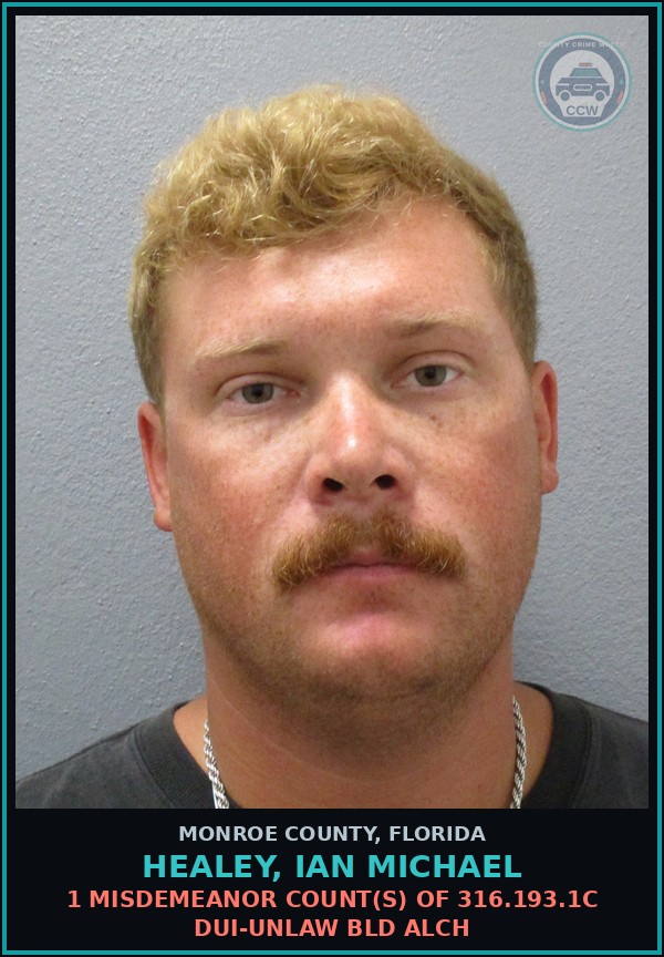 Booking mugshot of HEALEY, IAN MICHAEL in Monroe County