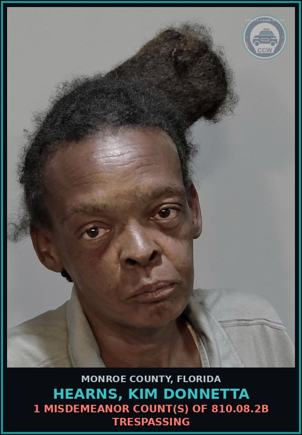 Booking mugshot of HEARNS, KIM DONNETTA in Monroe County