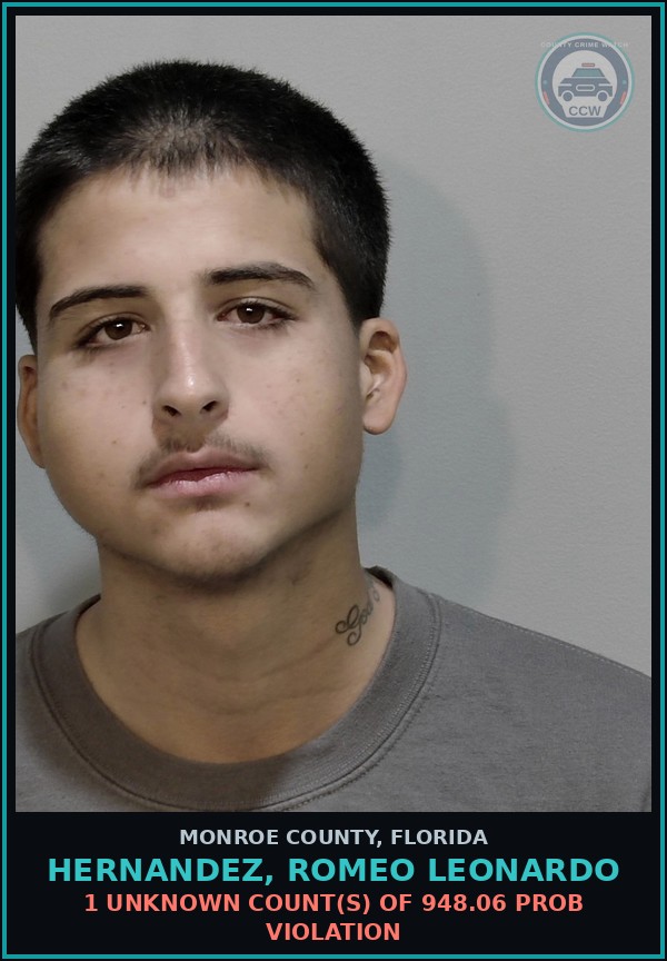 Booking mugshot of HERNANDEZ, ROMEO LEONARDO in Monroe County