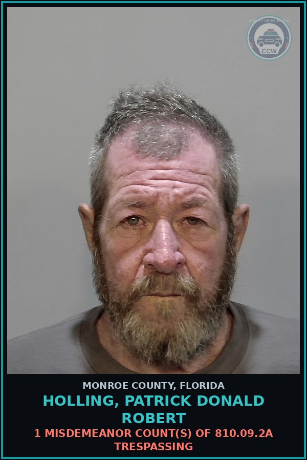 Booking mugshot of HOLLING, PATRICK DONALD ROBERT in Monroe County