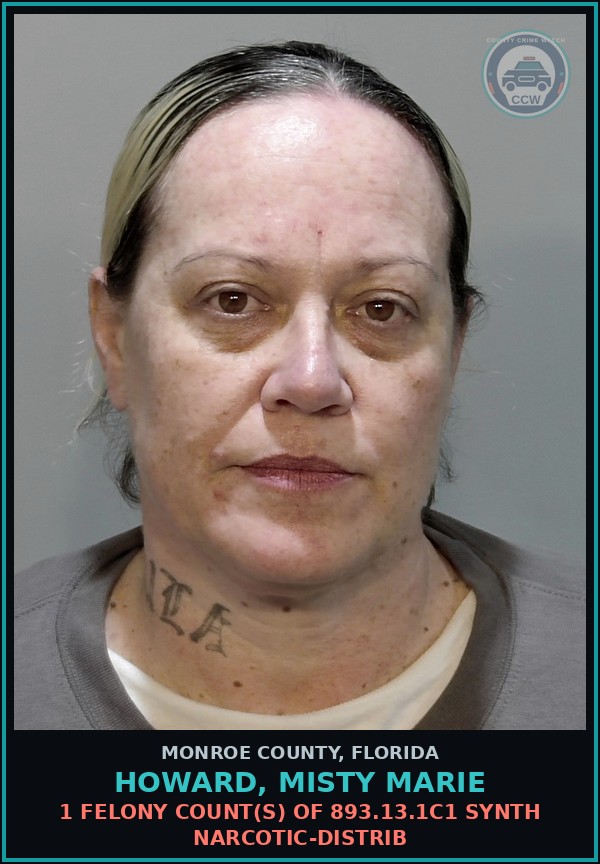 Booking mugshot of HOWARD, MISTY MARIE in Monroe County