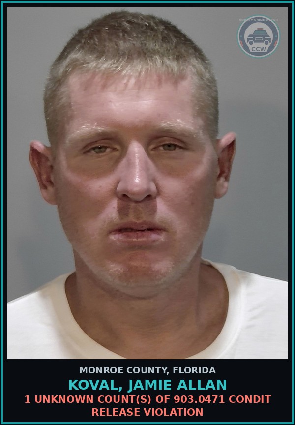 Booking mugshot of KOVAL, JAMIE ALLAN in Monroe County