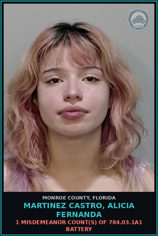Booking mugshot of MARTINEZ CASTRO, ALICIA FERNANDA in Monroe County