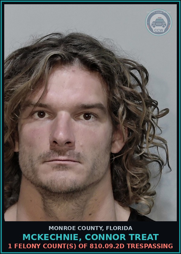 Booking mugshot of MCKECHNIE, CONNOR TREAT in Monroe County
