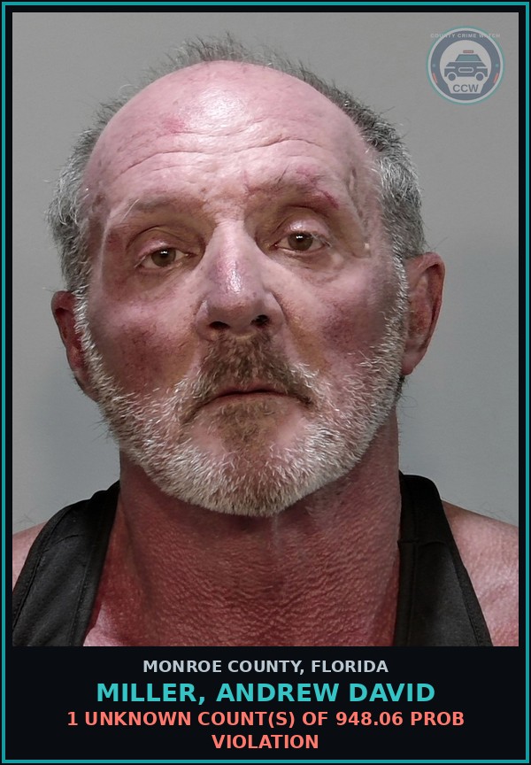 Booking mugshot of MILLER, ANDREW DAVID in Monroe County