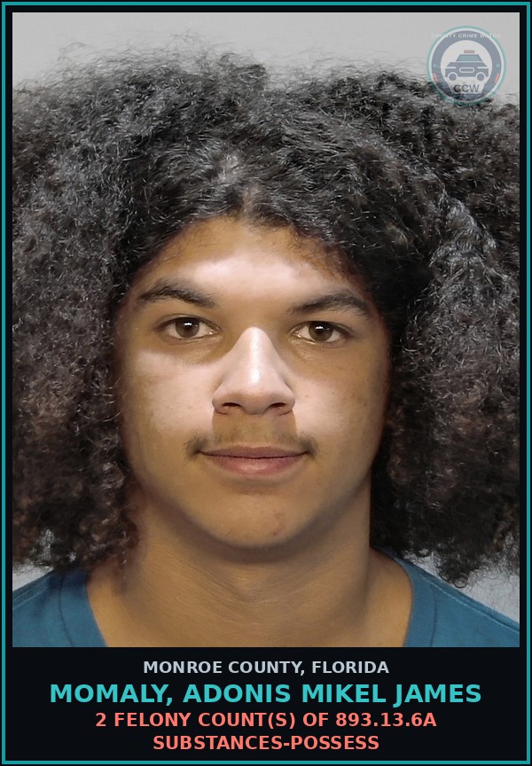 Booking mugshot of MOMALY, ADONIS MIKEL JAMES in Monroe County