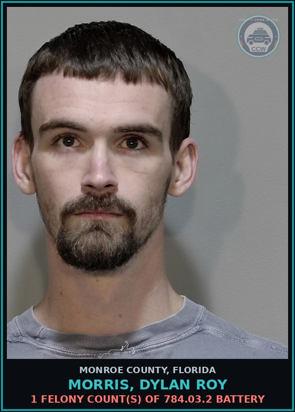 Booking mugshot of MORRIS, DYLAN ROY in Monroe County