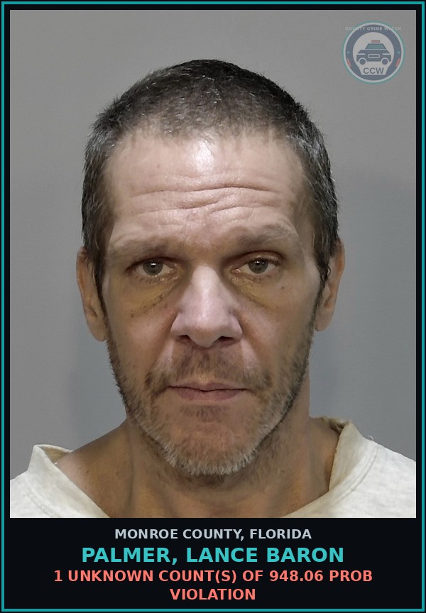 Booking mugshot of PALMER, LANCE BARON in Monroe County
