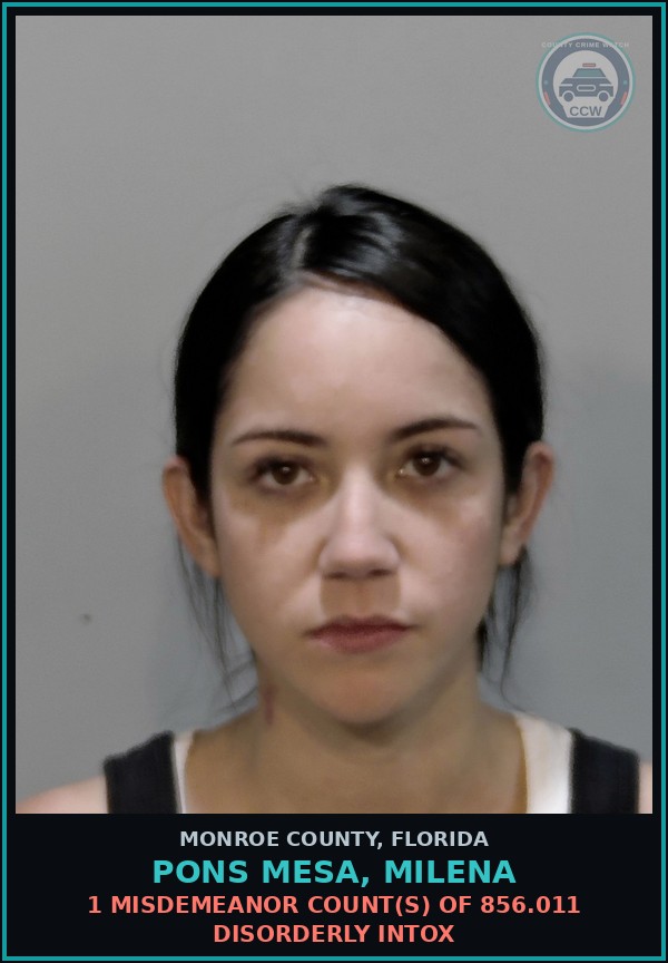 Booking mugshot of PONS MESA, MILENA in Monroe County