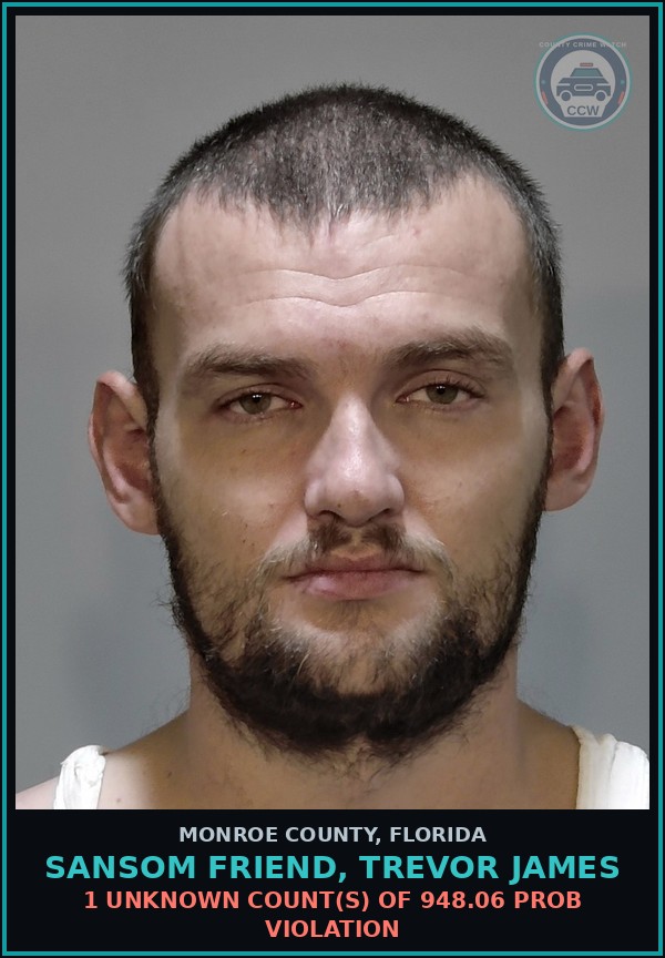 Booking mugshot of SANSOM FRIEND, TREVOR JAMES in Monroe County