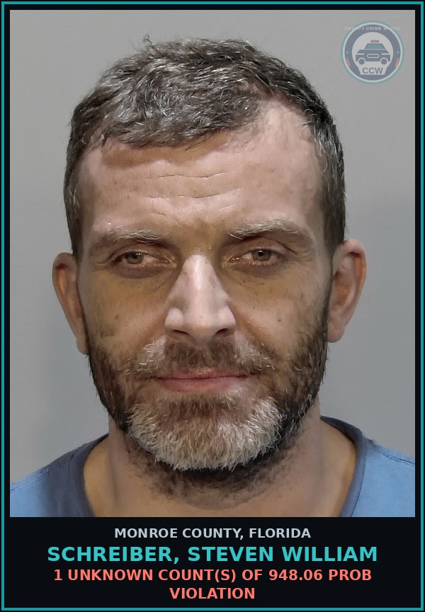 Booking mugshot of SCHREIBER, STEVEN WILLIAM in Monroe County