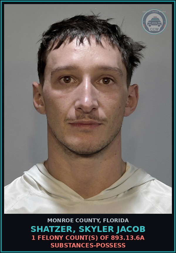Booking mugshot of SHATZER, SKYLER JACOB in Monroe County