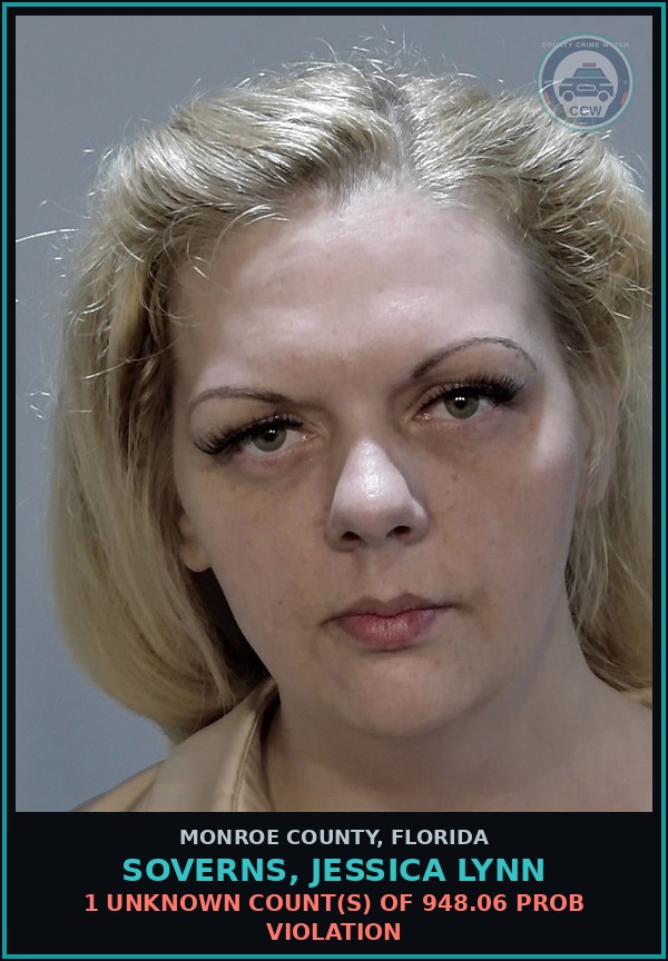 Booking mugshot of SOVERNS, JESSICA LYNN in Monroe County