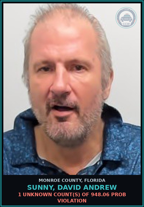 Booking mugshot of SUNNY, DAVID ANDREW in Monroe County